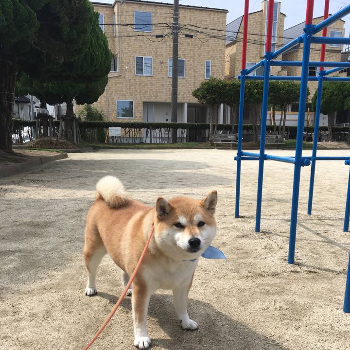 92436bb8 c06c 431e b5d6 291f191dd6ed 1562117455108