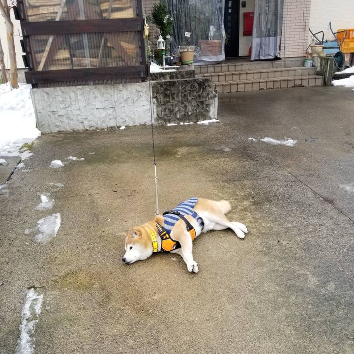 92436e1f 8f6f 4440 8c83 4dd35a1e60e4 1671943016101