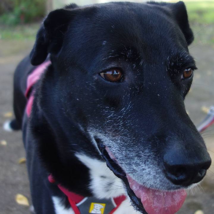 92438411 8431 4c1a 992c c226ea066cc0 1698716064892