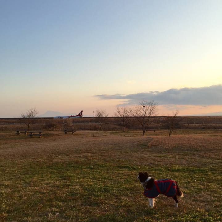 9243ae98 fda3 4b40 a8e4 b4f4d8425c46 1516610343908