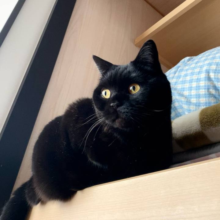 9243d445 7f4f 4e69 99d5 10d6b0192247 1768890169734