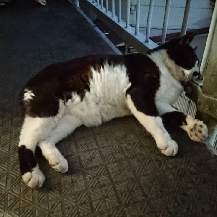 9243d753 e500 4abf aa05 637f791b66be 1656331019419