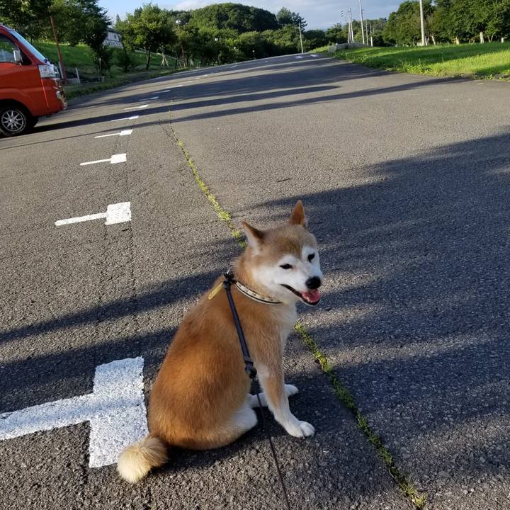 9243e1bb a771 45fa a8e9 3fa629174908 1596097386167