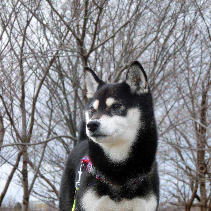 9243f25f 5c08 4073 b0a6 87c4857a96f1 1519947157056