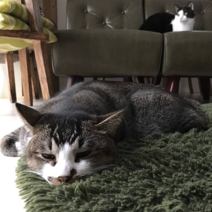 9244109c 2c08 4efa 952e 879bdbd6449e 1512017842192