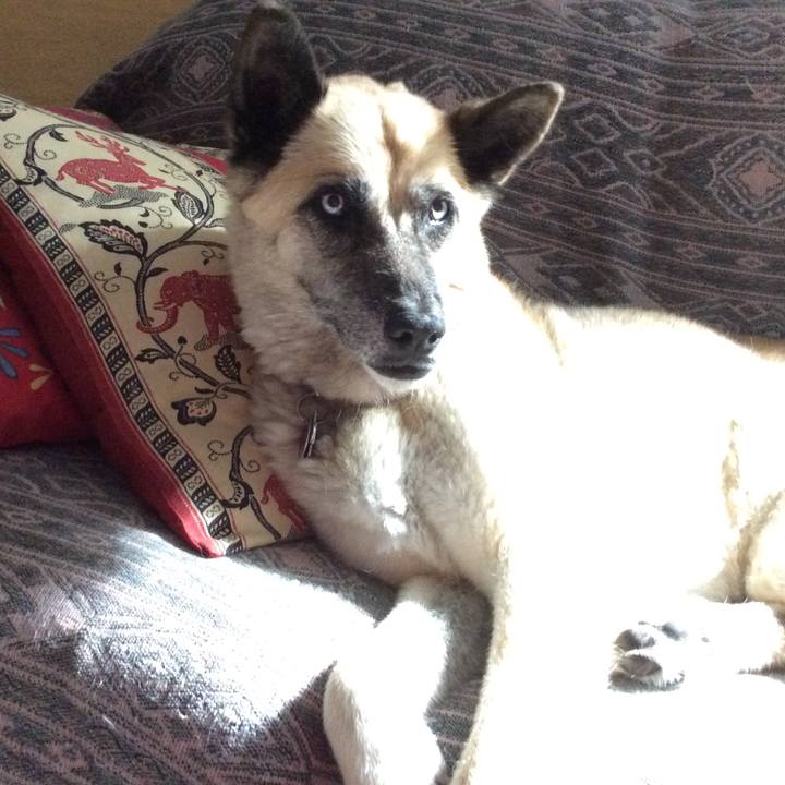 9244c7b4 7b9c 4dee 94e3 efa966e4d6ec 1531663971001