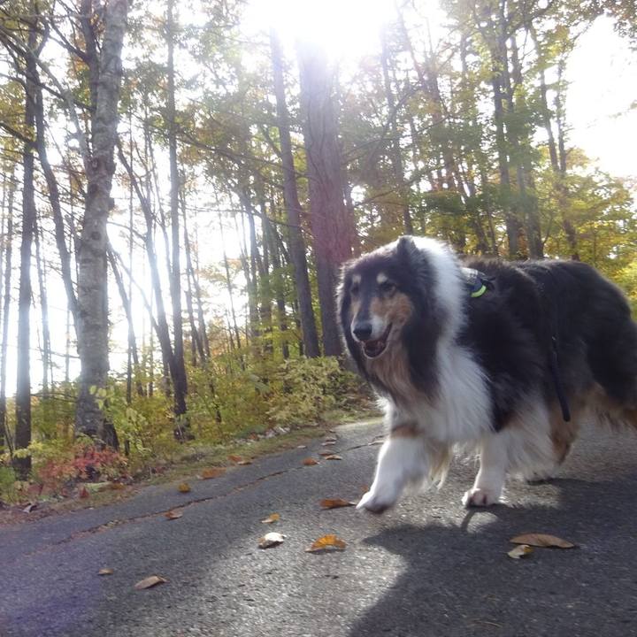 9244ccb0 8aa6 4b58 8a88 60e6020f58c2 1604321492423