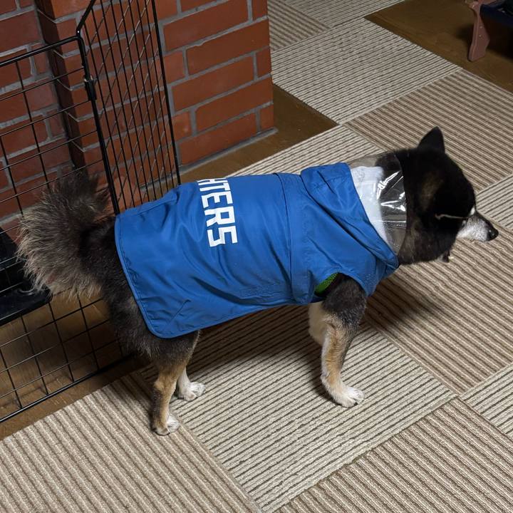 9244ccd3 e6a4 430e a928 5c385b489073 1765248321899