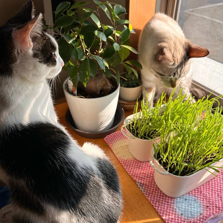 9244f1b1 f6a4 4e80 a7a8 0464164bb045 1751061337705