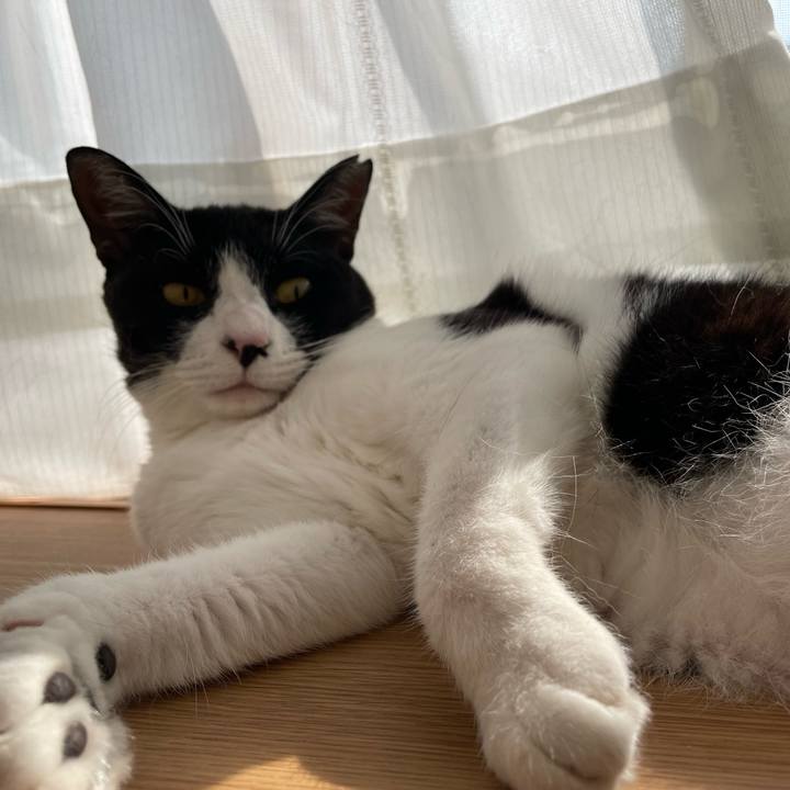 92450466 4565 4850 8cf9 c9dec6915111 1720851388365