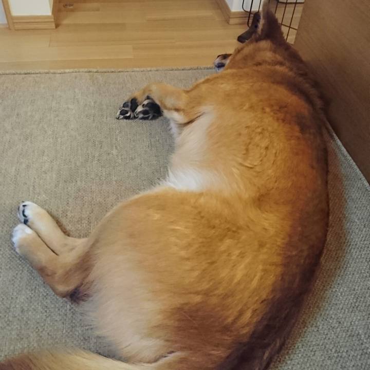 92451819 4a7a 4c61 a822 15afeef12f44 1530106799865