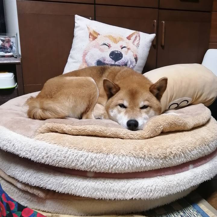 92451e94 451b 4a9c bd53 00a82ba35499 1586858825368