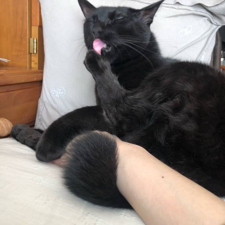 924525c1 49ed 4b1f 8aad 7a6f603abd0f 1573874377446