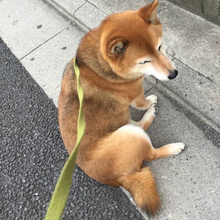 92454a56 1e53 4d6d 8de3 8e050d99ab95 1588674865923