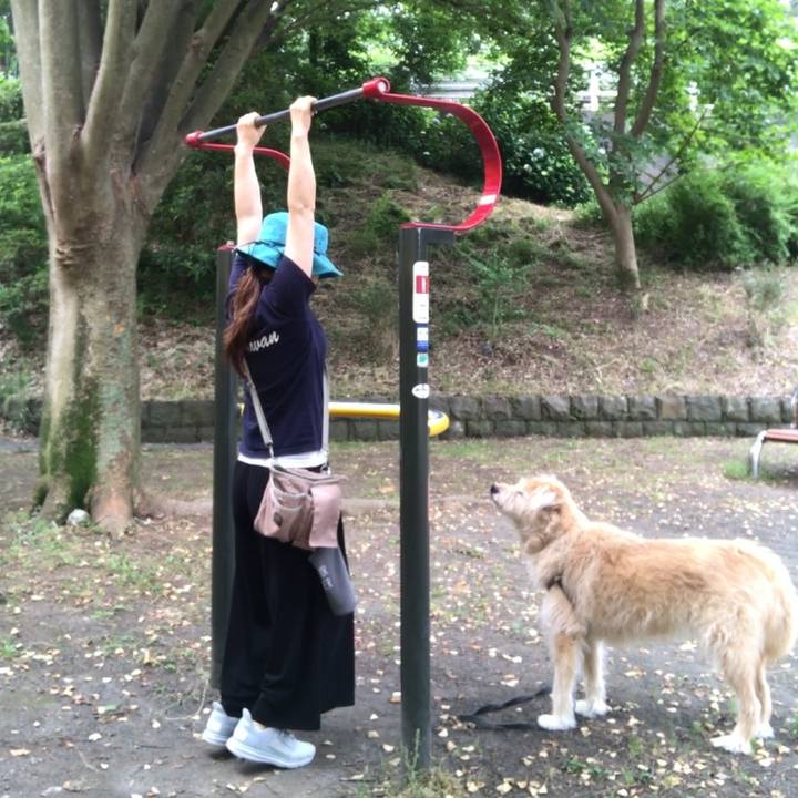 9245788b c9a1 4c52 aa5f 3c281b632c50 1591252672735