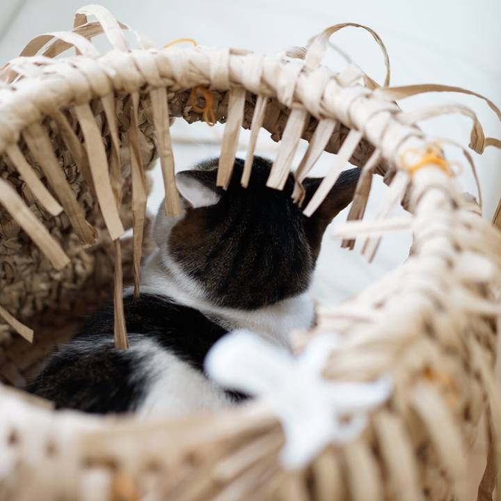 92458360 811c 4c7b 850c 53e97d20cde7 1549238124236