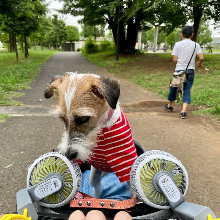 9246092c 7a2f 4155 a95a ec750492e234 1625920486991