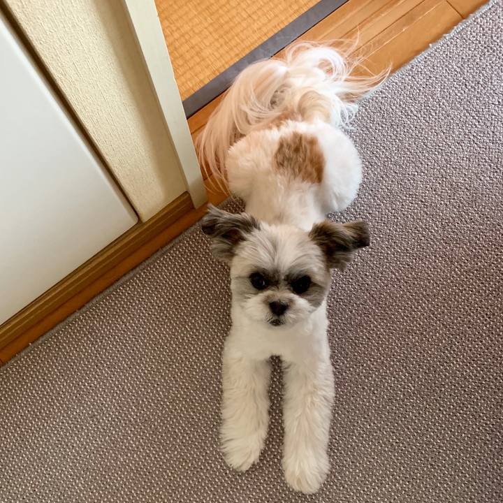 92460d4d 7d7b 4285 b4d9 762788e78b9f 1556062692959