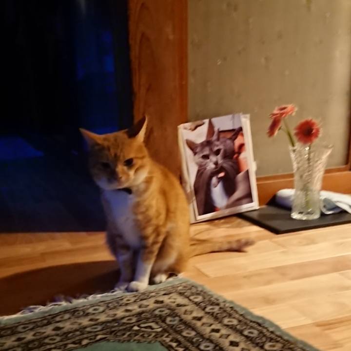 92464de1 135a 44ae a401 09c5ba230e59 1601023456263