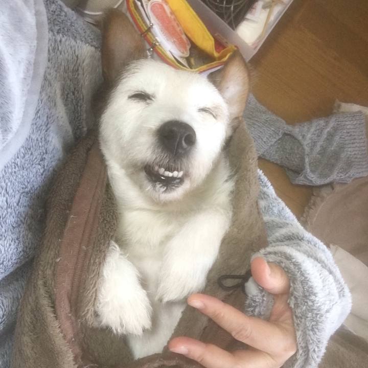 92467306 ac28 4b46 b1ee 6a4992eec647 1636004423092