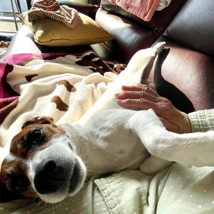 92468ddc ccfd 4b28 943f af0a067aa882 1747954137711