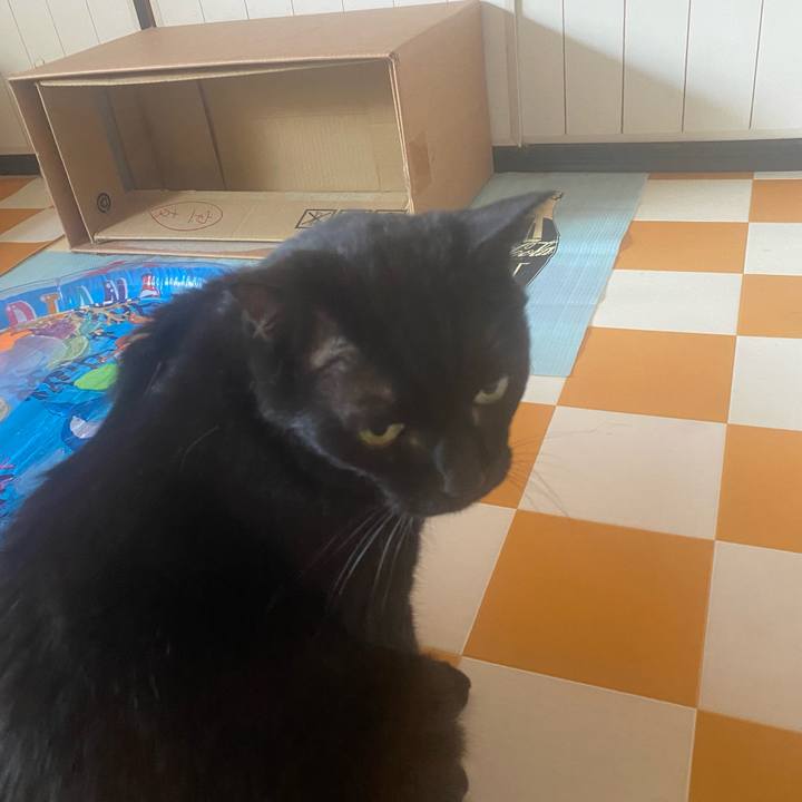 9246a9ac 3684 4b3d 9f73 42c898e1bcb8 1724622856950