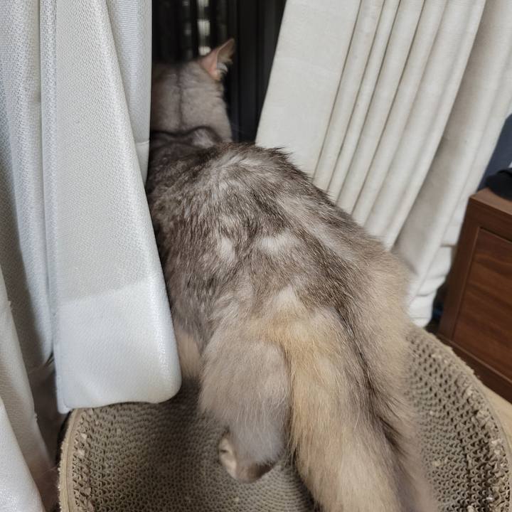 92471f27 2e5b 4fa8 be0c 1cbc0beba1f4 1631445283559