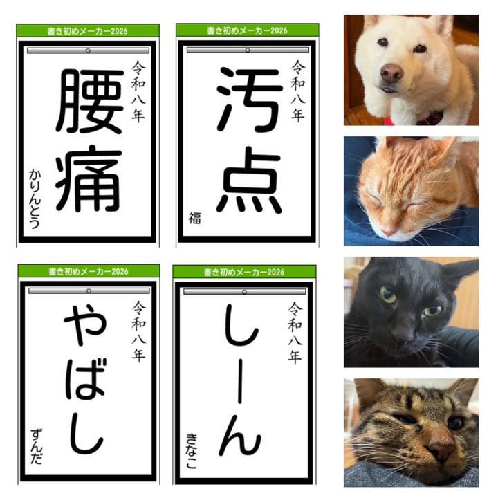 924723e2 04f4 4c38 a5f2 044bd80fa76b 1767755746979