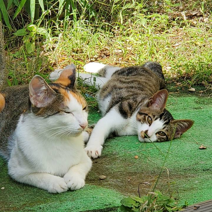 92474376 896b 4a2b 82d6 05464e6ef350 1727744274184