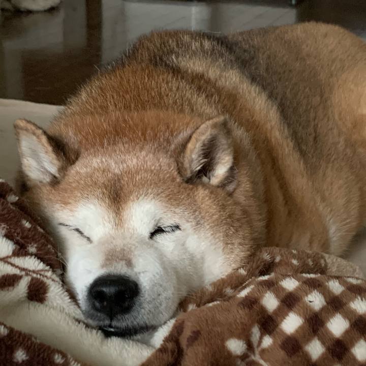 9247569b cfb1 4ce1 ba9d 16d270c53523 1578808494118