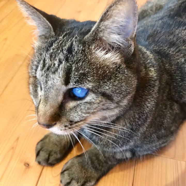 9247a0e2 1f98 4cde b5ce e2b7999dd278 1553045843647