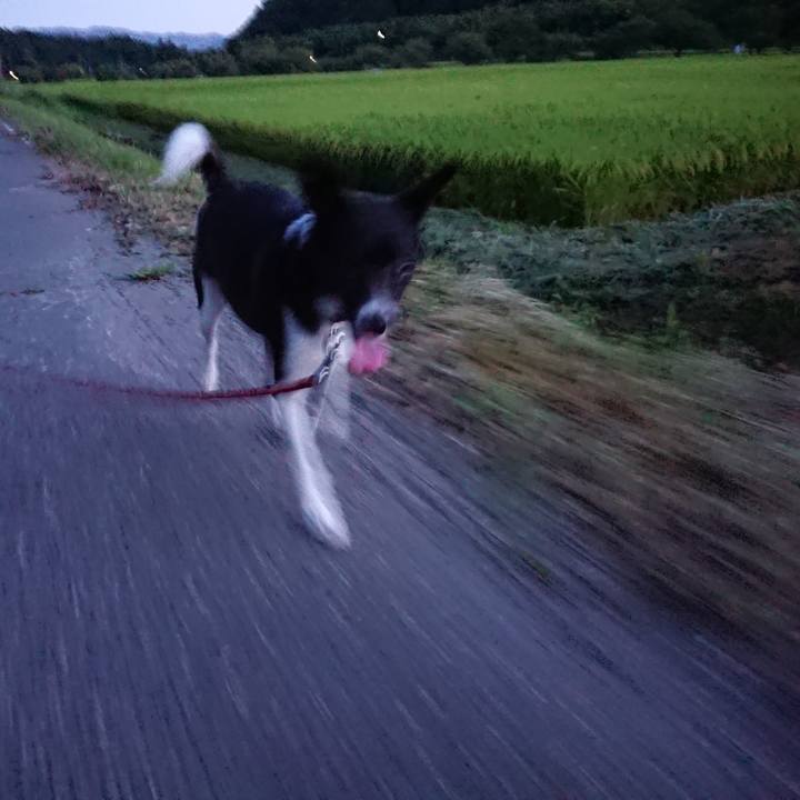 9247bb02 75e9 4c0d 97ff 755e95da42d6 1534591019640