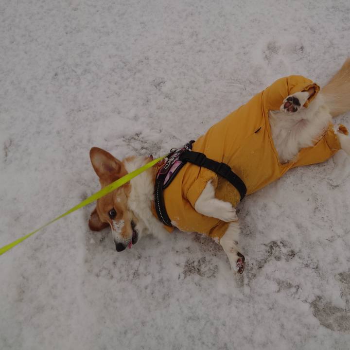 9247dcbb ad33 4e2a 8685 ce12ff46ec04 1772581592362