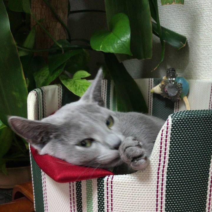 92482f41 4894 454e 863d d4027f6935fc 1511135329980