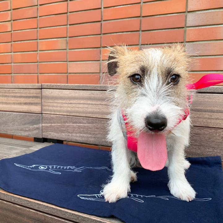 92484630 04fb 4176 9709 1451e710ed5a 1569236546126