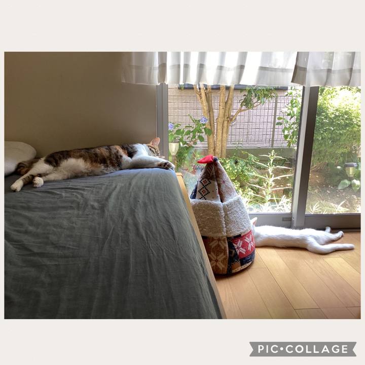 92487085 f3e0 4960 a0b8 cbd3b0664036 1689047333241