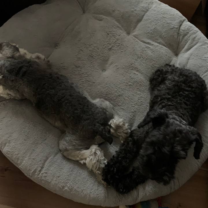 92488e24 798e 47b5 acce 7ac28d5362db 1684569557145