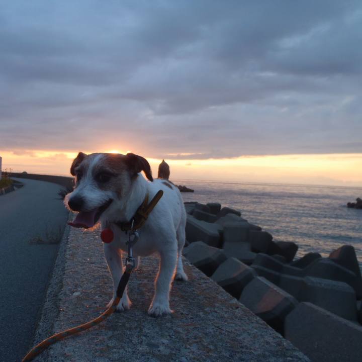 92489575 b45a 451d b05b cda1767df080 1511940839800