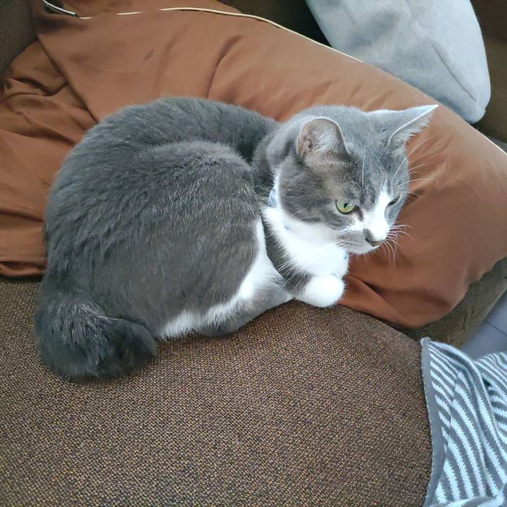 92489c09 0d68 4e43 8e42 786618884347 1665452636626