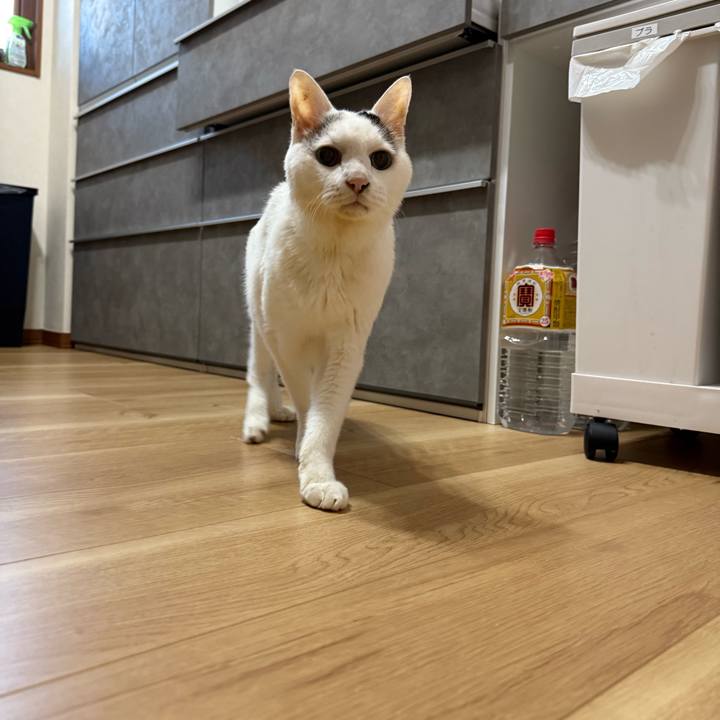 9248c6e5 5cb3 435f bc94 1f3025a03b97 1762898244930