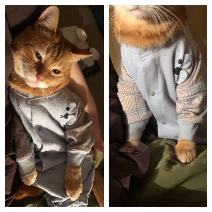 9248ce77 fae0 4540 b035 ec2a786fa839 1683202605400