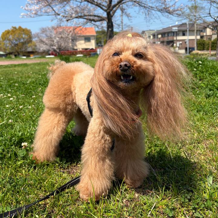 9248fb01 8b91 47b5 a90e b88abba5aba2 1775106098781