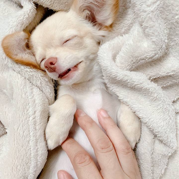 9248fccc 67ba 4169 9660 16e82e309416 1594043417038