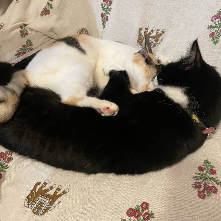 92490f9c eb0a 48d0 8701 9321dd3c7426 1692701557277