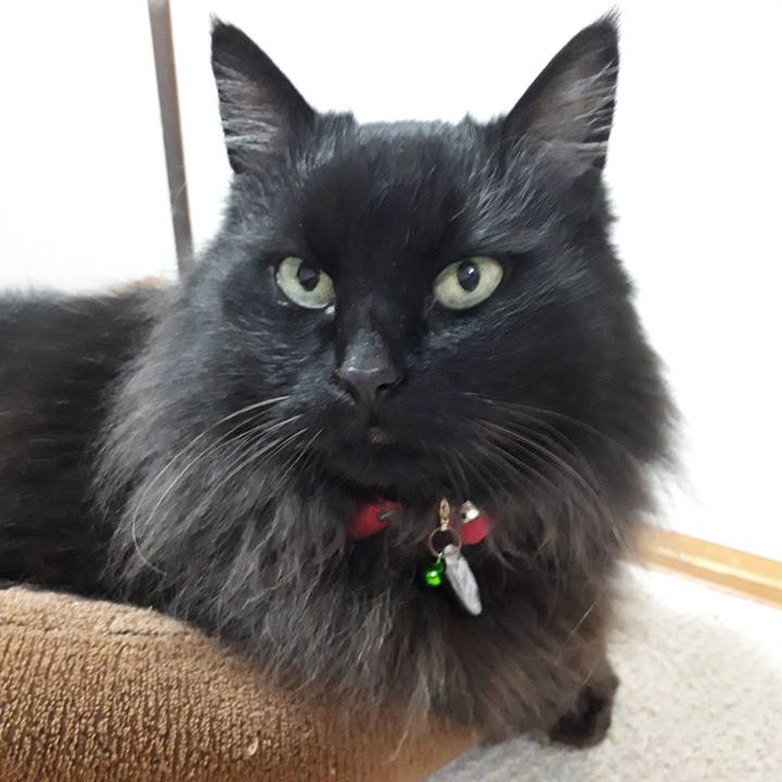 924944cd a786 4185 859a 90c73f7e5b1b 1523530987131