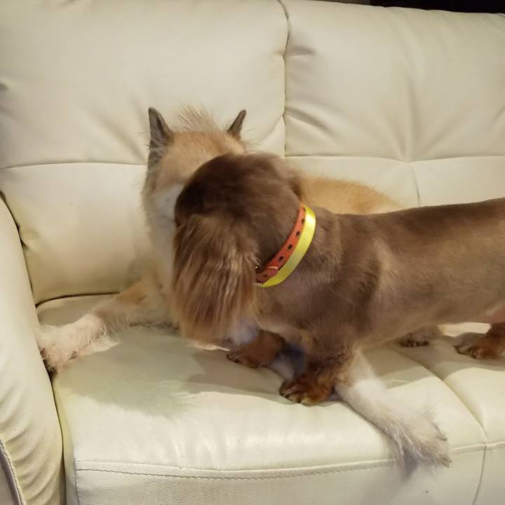 92496fea f428 42ff a9b7 72fa78cfbfac 1567600116919