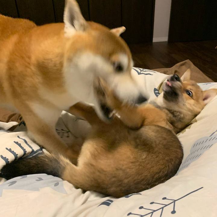 9249933d 0153 4ac4 a35b b54bae155773 1621338174633