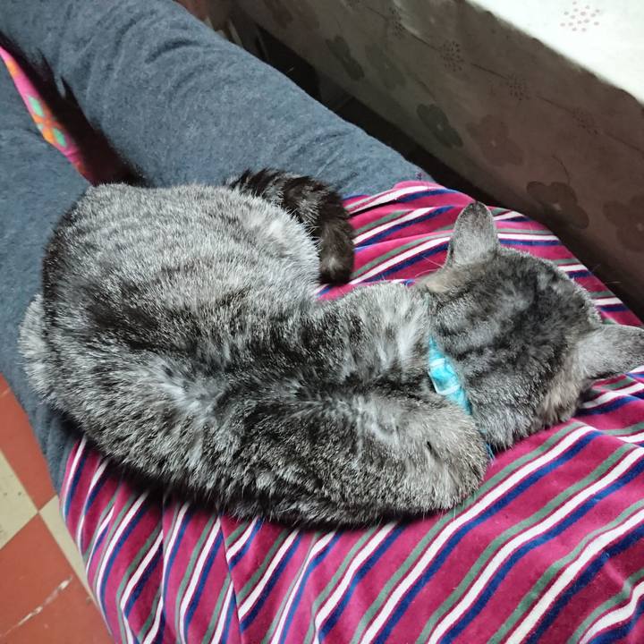 924a401a 3d0e 4190 99ac f174e623d518 1577614414047