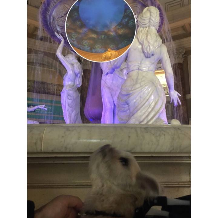 924a45f4 9141 47f0 b7d2 e567482fe201 1512393257533