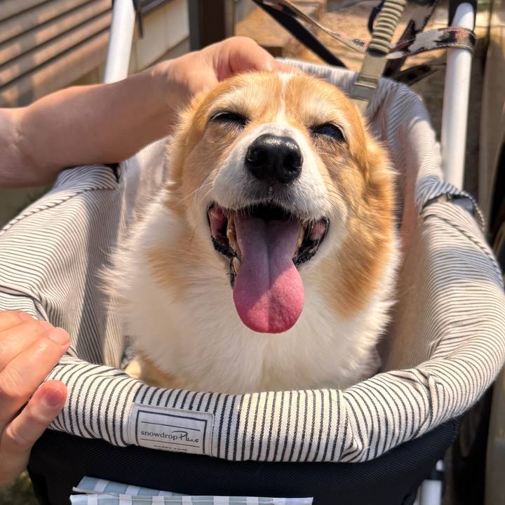 924a6976 8484 4aa7 979d f68952a9e763 1776824378926